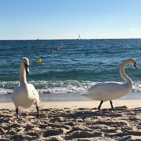 Touchlux Apartments Cannes Zewnętrze zdjęcie