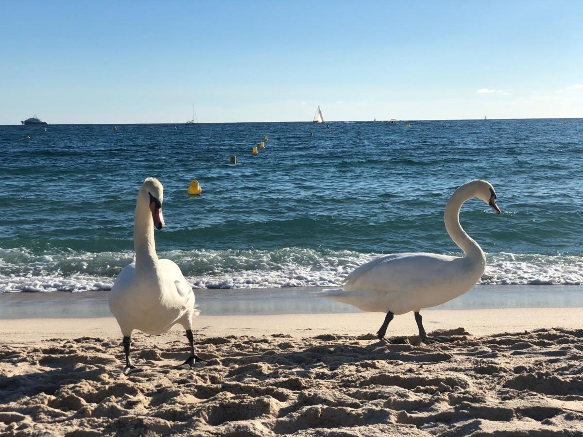 Touchlux Apartments Cannes Zewnętrze zdjęcie